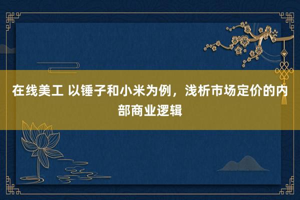 在线美工 以锤子和小米为例，浅析市场定价的内部商业逻辑