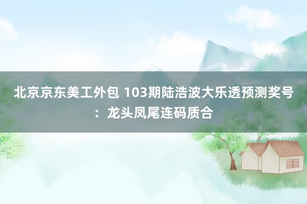 北京京东美工外包 103期陆浩波大乐透预测奖号：龙头凤尾连码质合