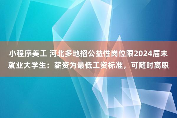 小程序美工 河北多地招公益性岗位限2024届未就业大学生：薪资为最低工资标准，可随时离职