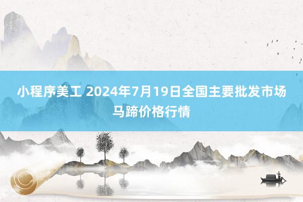 小程序美工 2024年7月19日全国主要批发市场马蹄价格行情