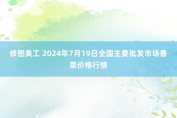 修图美工 2024年7月19日全国主要批发市场香菜价格行情