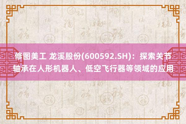 修图美工 龙溪股份(600592.SH)：探索关节轴承在人形机器人、低空飞行器等领域的应用